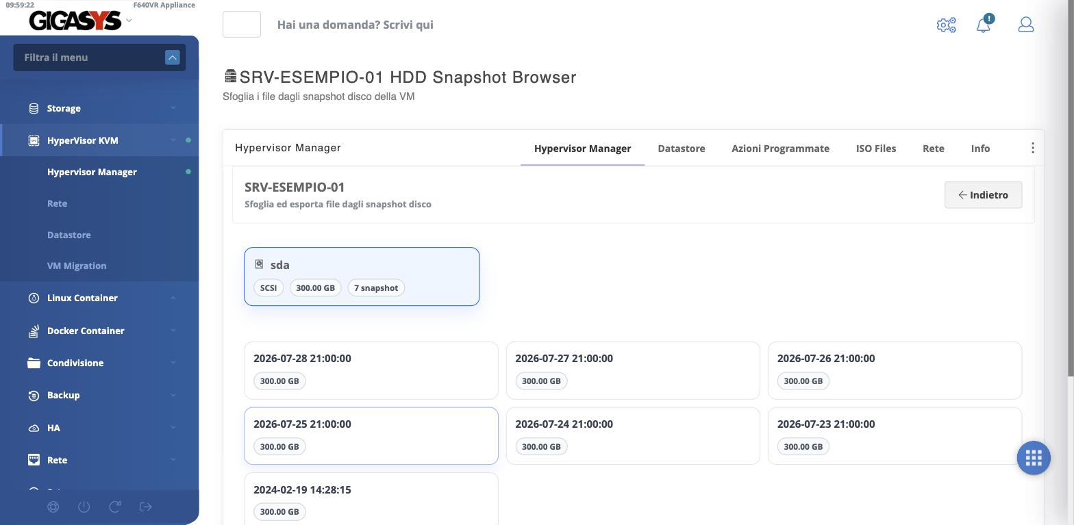 L'HDD Snapshot Browser con i dischi e i loro snapshot